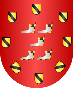 ESCUDO PRECEDENTE