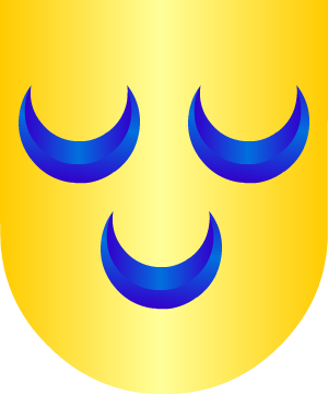 ESCUDO PRECEDENTE