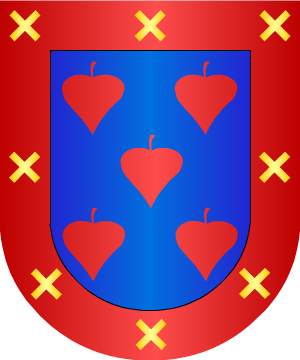 ESCUDO SIGUIENTE