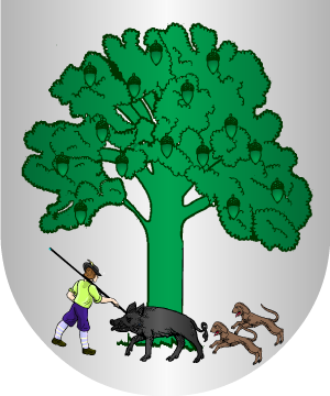 ESCUDO ALEATORIO